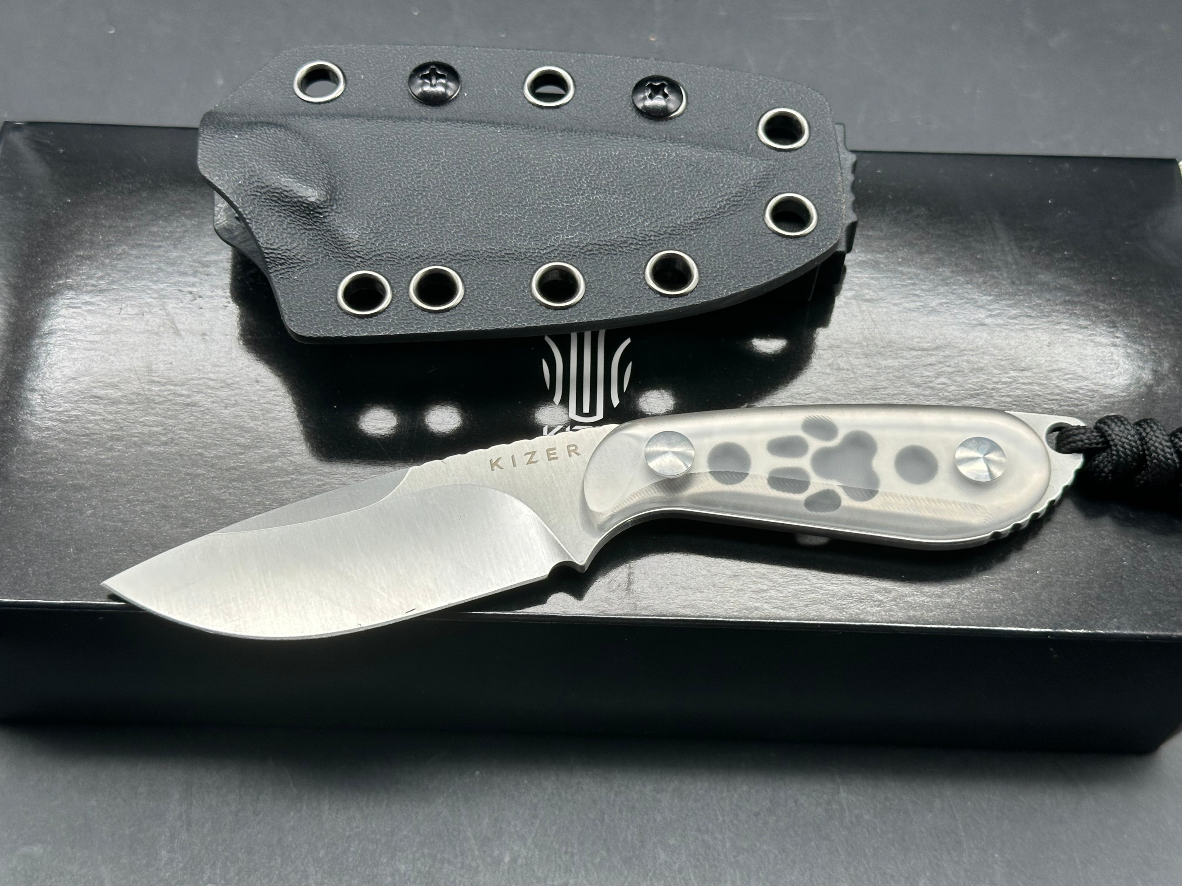 Kizer Buddy Ice in clear acrylic scales AEB-L blade