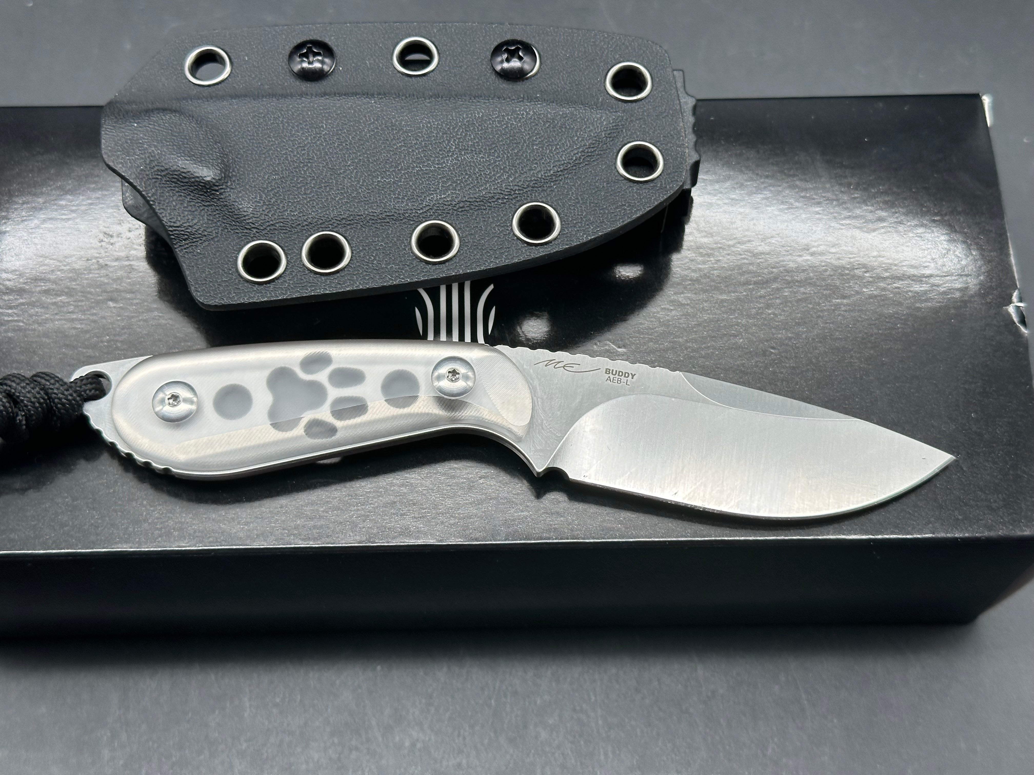 Kizer Buddy Ice in clear acrylic scales AEB-L blade