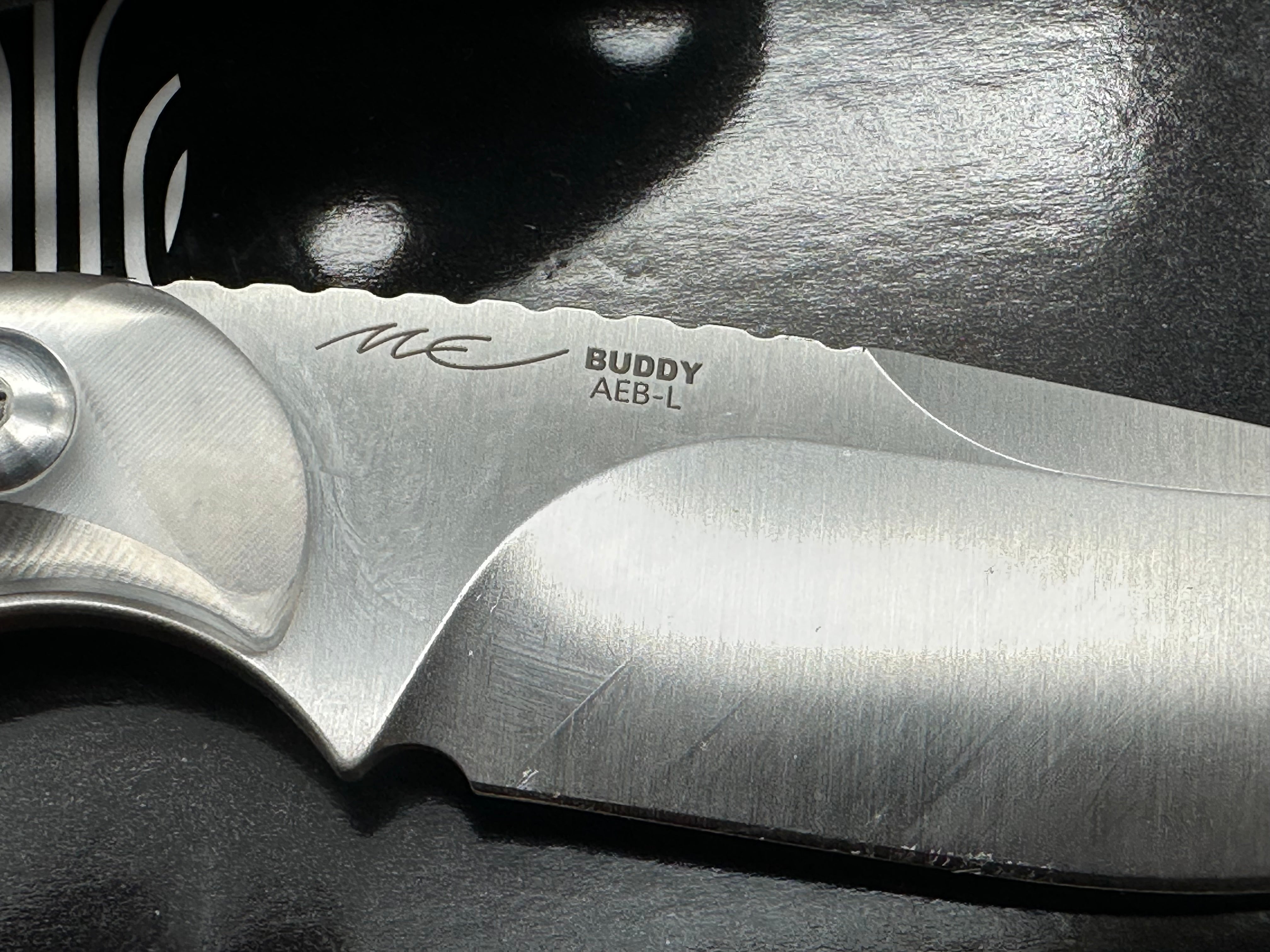 Kizer Buddy Ice in clear acrylic scales AEB-L blade