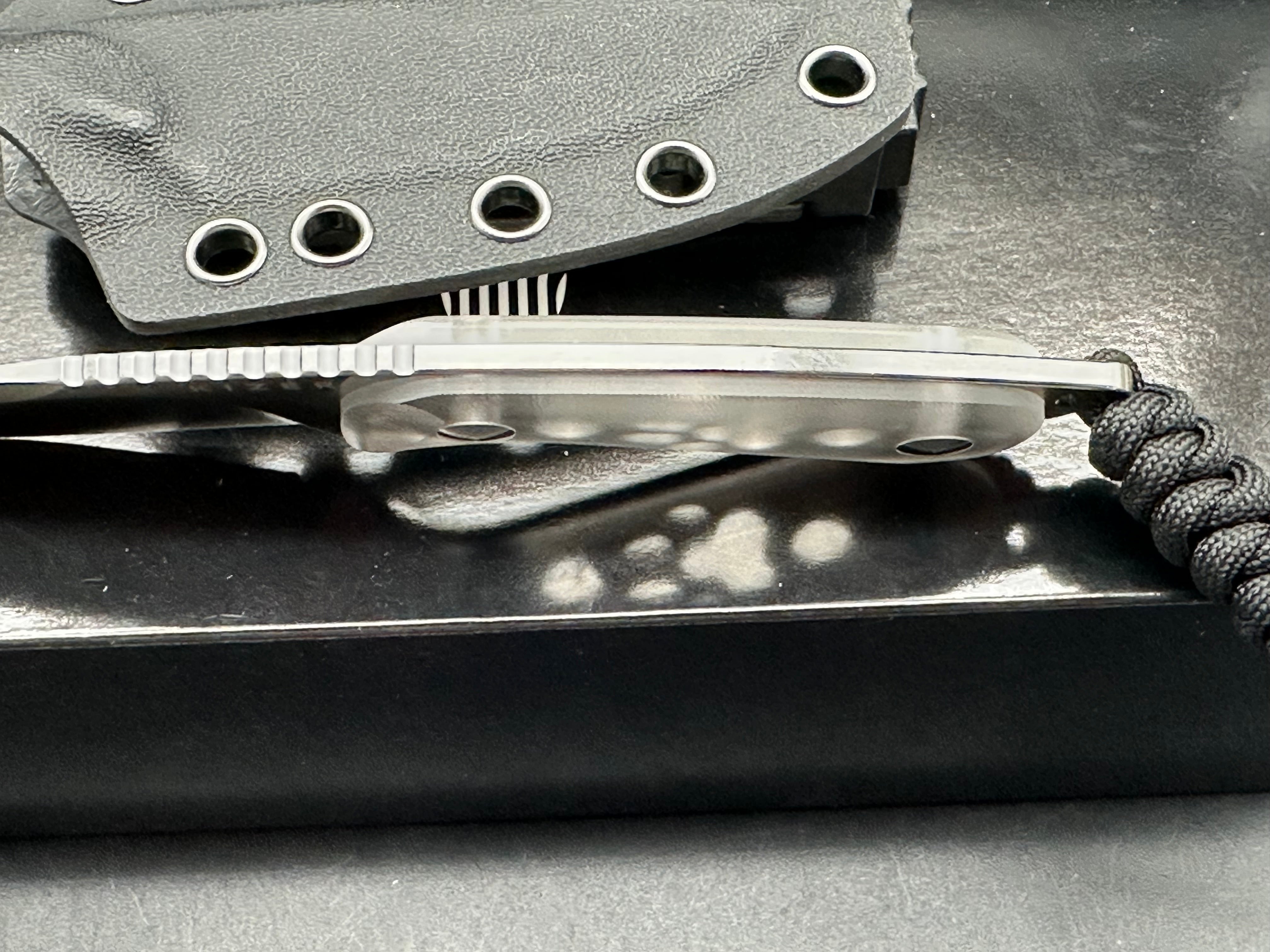 Kizer Buddy Ice in clear acrylic scales AEB-L blade